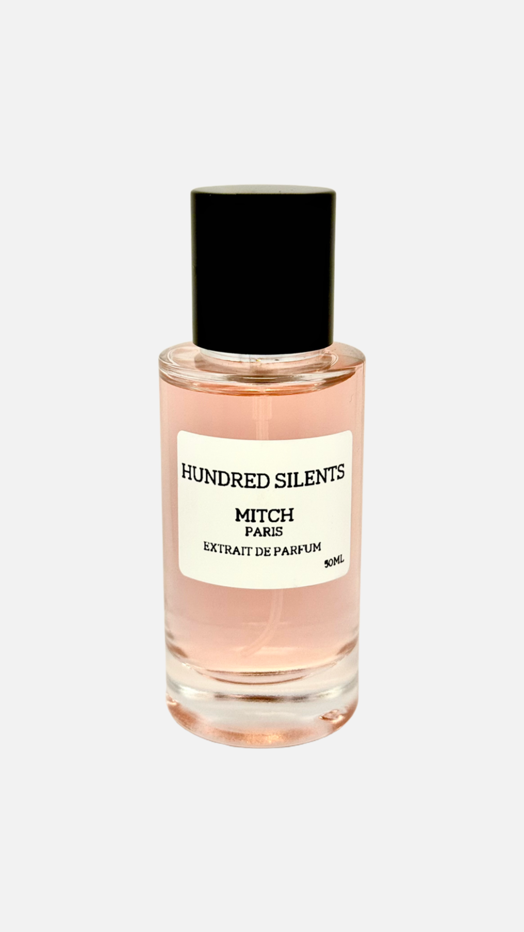HUNDRED SILENTS
